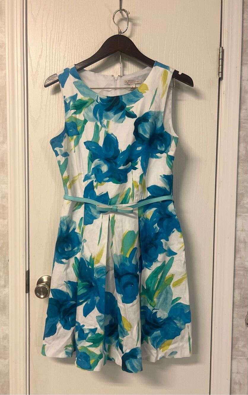 DB Dress